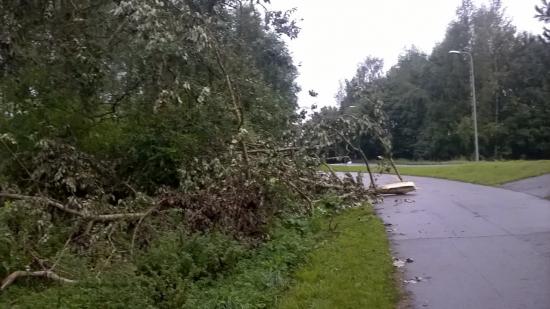 Rauli_myrsky